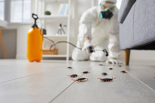 Post-Treatment Bed Bug Interceptor Monitoring in Steelton